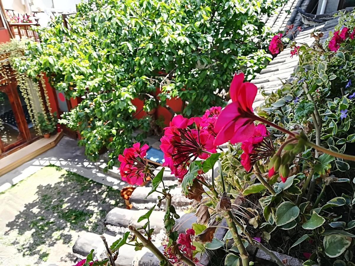 Lijiang Buwuzhai Inn Bagian luar foto