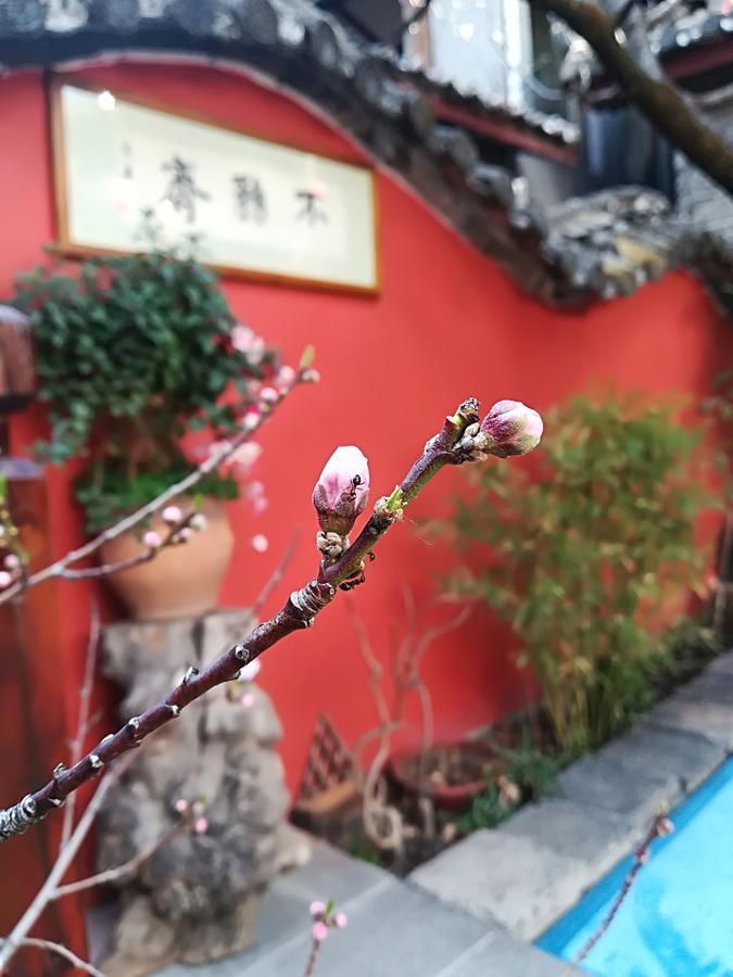 Lijiang Buwuzhai Inn Bagian luar foto